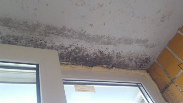 Plafond tendu sur la loggia: photos et avis