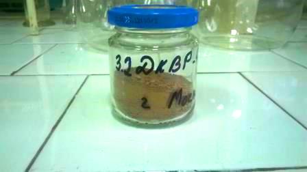 échantillon à l'échelle pour la recherche