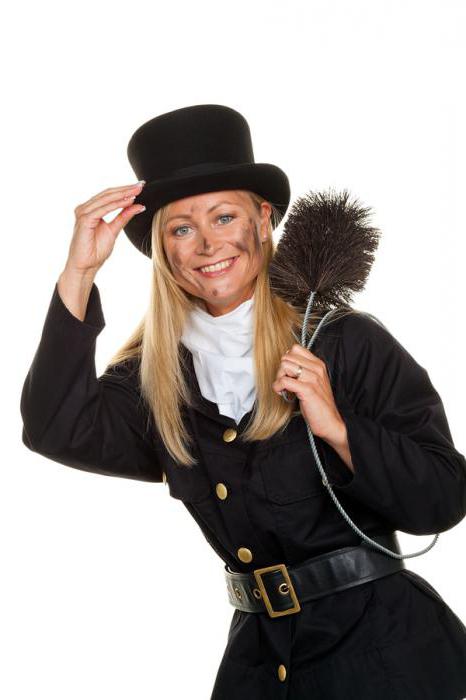 ramoneur à bûche nettoyeur de cheminée