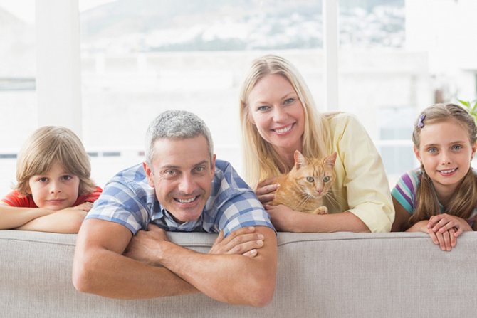 Fenêtres du profil Wintech Poletech W80 dans une maison privée