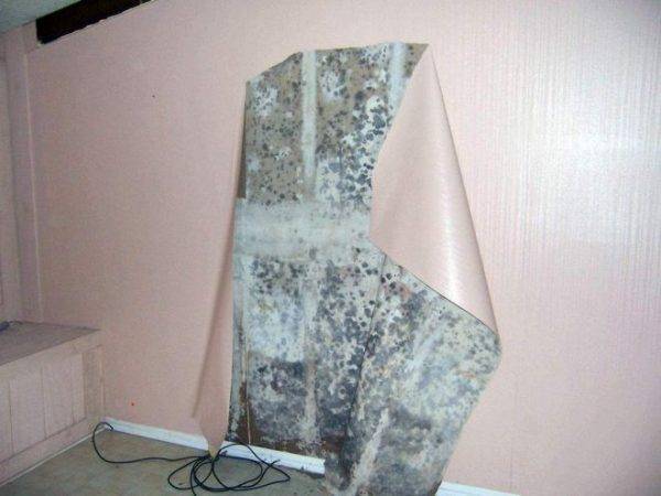 Caractéristiques de l'utilisation de papier peint sur le balcon