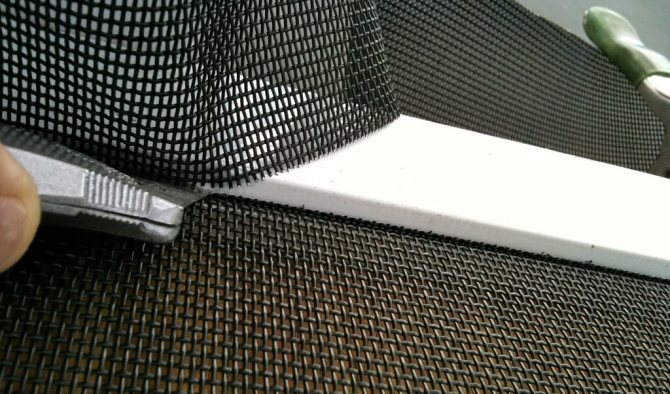 osobonnosti antikoshka - Moustiquaire Antikoshka