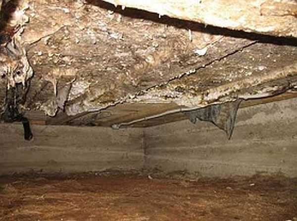 Vous pouvez vous débarrasser de ce mal avec un dissolvant de mousse de polyuréthane.