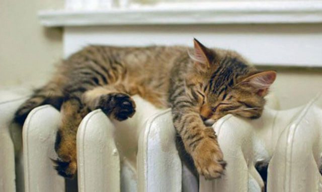 refus du chauffage central