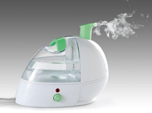 Humidificateur à vapeur