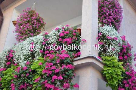 Garde-corps de balcon: types de garde-corps de balcon