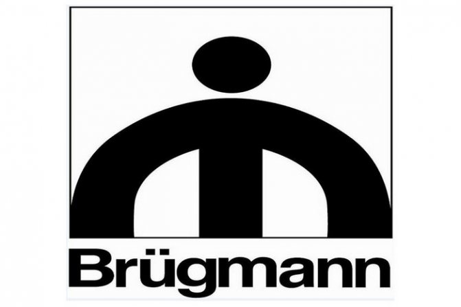 Fenêtres en plastique Brugmann (Bryugman)