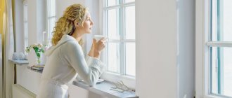 quelles fenêtres en plastique sont préférables de choisir