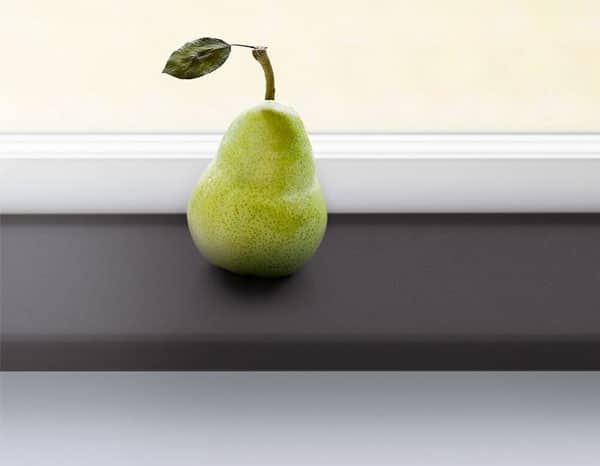 Appui de fenêtre en plastique sous un arbre