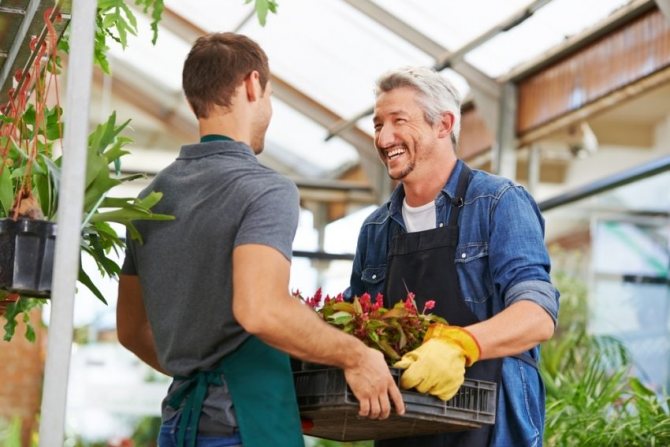 À tous égards, une serre profilée est solide, fiable, durable et sûre.