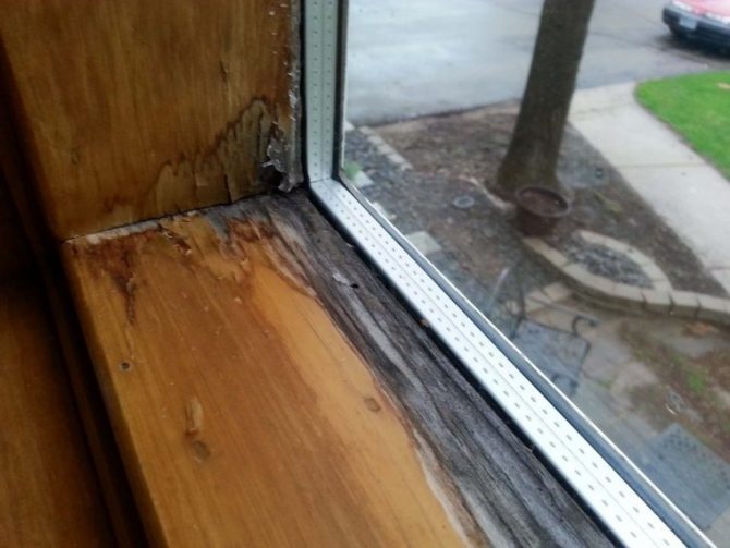 Pourquoi les fenêtres de la maison transpirent et comment se débarrasser d'une fuite