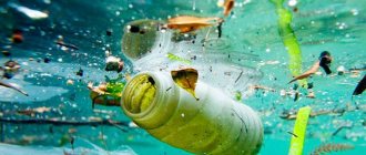 Pollution de l'environnement au polychlorure de vinyle (PVC)