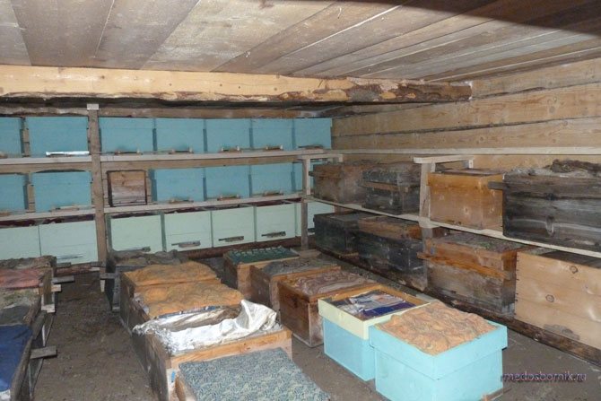 Chambre pour ruches en hiver