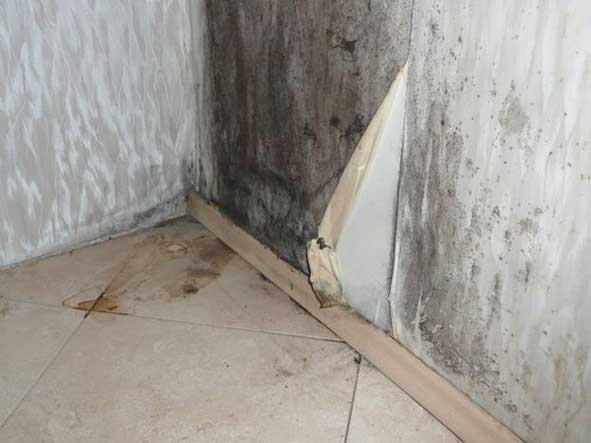 Conséquences du gel.