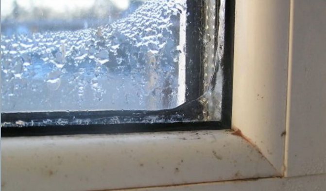 L'apparition de la glace