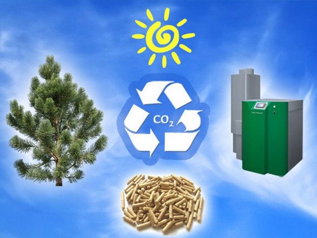 Lorsque les granulés sont brûlés, des substances non dangereuses sont libérées dans l'atmosphère.