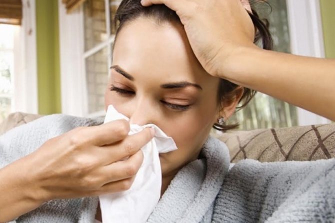 prévention de l'humidité et de la moisissure dans l'appartement