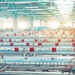 Production de profilés WDS