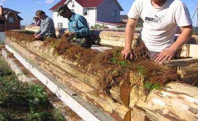 Disposition de l'isolant sur les bûches de la couronne