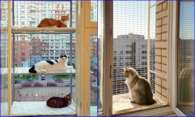 filets anti-chats faits maison