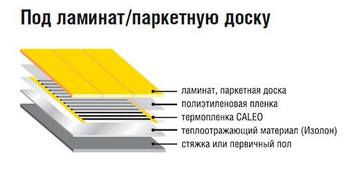 Mise en page du film