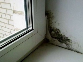 les pentes de plâtre sont moisies