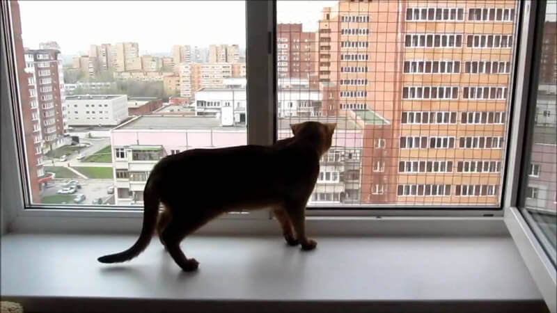 combien coûte une fenêtre en plastique