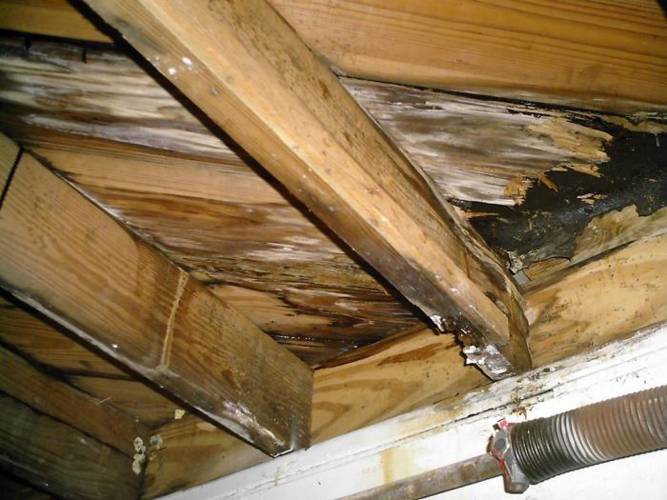 Communautés DIY Blog Condensation au plafond du balcon