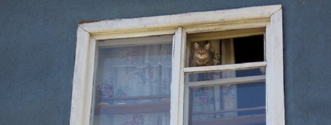 Fenêtres soviétiques, en bois, sans isolation