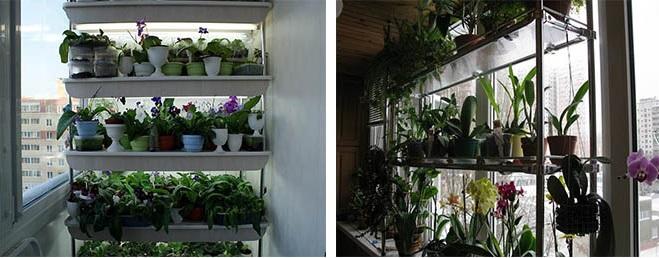 Casiers à fleurs sur le balcon