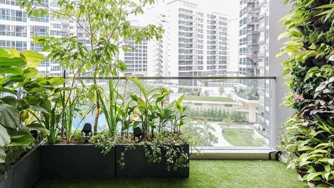 Vaut-il la peine de faire un balcon panoramique: avantages et inconvénients, caractéristiques et design confortable