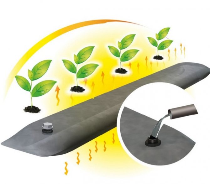 Nous construisons nous-mêmes un capteur solaire pour la serre