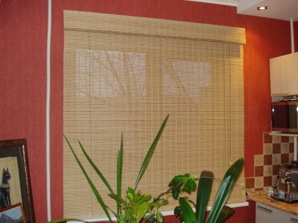 Filtres de lumière pour fenêtres en plastique: conception, installation, maintenance