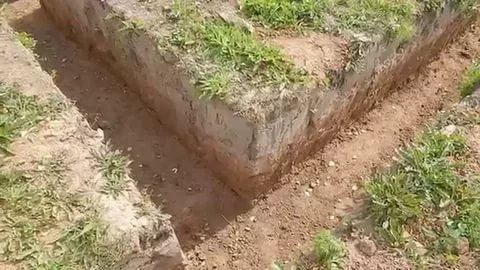 Serre à faire soi-même en fenêtres en plastique: idées créatives de construction