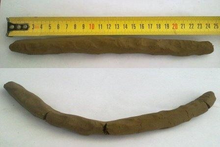 Test de plasticité n ° 2: fabrication d'un flagelle d'argile