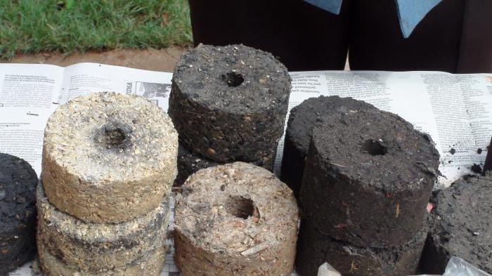 Briquettes de combustible à partir d'enveloppes de tournesol critiques