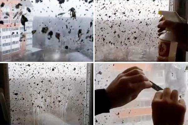 Éliminer les taches de ciment d'une fenêtre