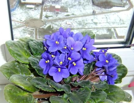 Prendre soin des fenêtres en PVC avant l'hiver