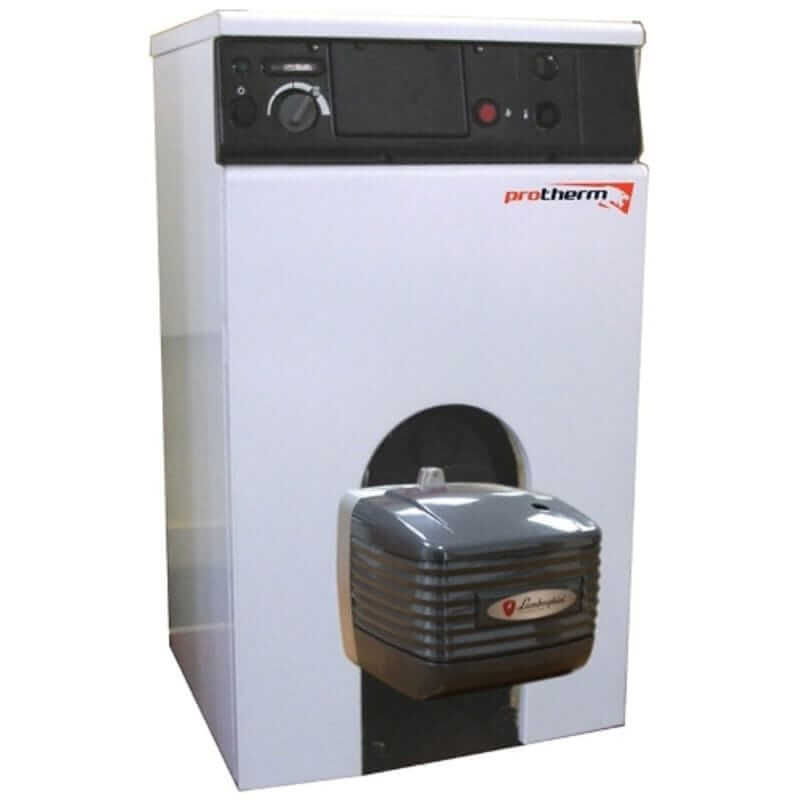 chaudière universelle Protherm Bizon 30 NL