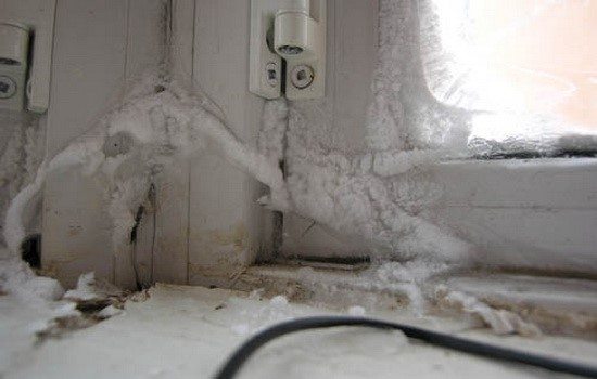 Nous isolons pour l'hiver un joint pour fenêtres en plastique