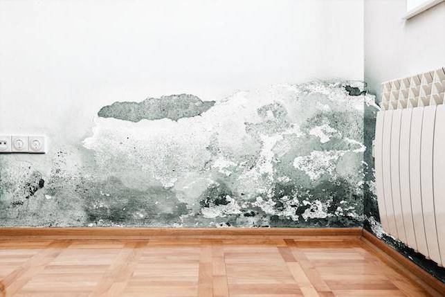 Humidité de l'air dans l'appartement: comment la mesurer et comment la changer. Comment mesurer l'humidité de l'air dans un appartement: méthodes et appareils Comment savoir quel type d'air se trouve dans un appartement