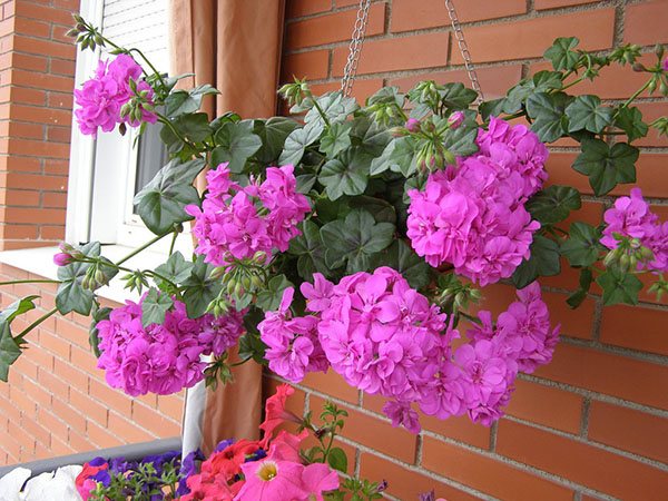 Décoration florale extérieure de fenêtres en plastique, décoration de rebord de fenêtre