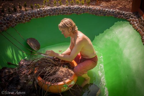 étang prêt à emménager