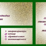 Pompe de surpression pour augmenter la pression de l'eau: méthode de sélection et d'installation