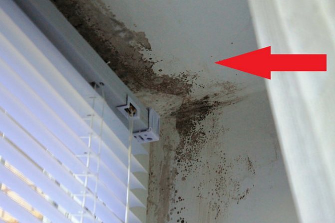 Croissance des moisissures