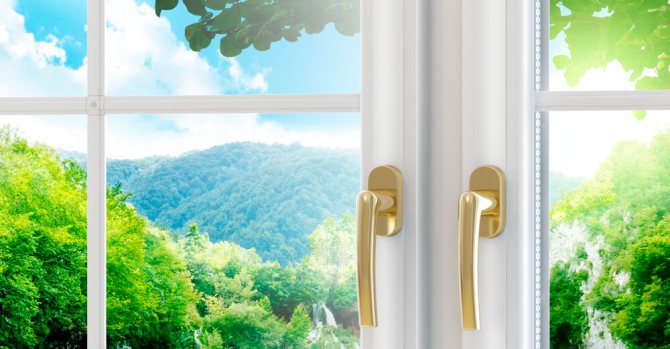 remplacement de fenêtre en photo d'été