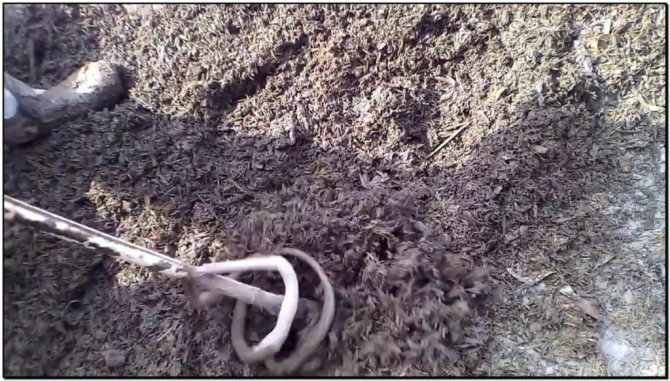 lot de béton de bois monolithique