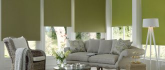 Volets roulants verts sur les fenêtres du salon