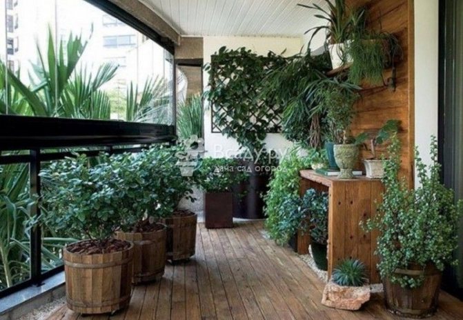 Un jardin d'hiver rustique est une excellente solution pour une loggia